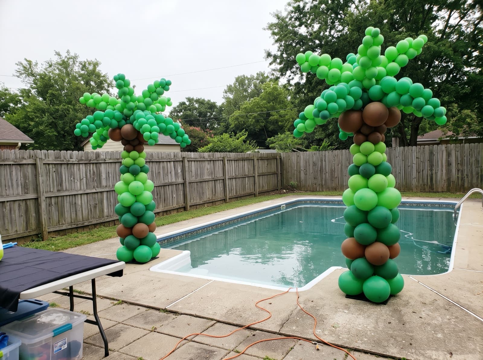 Balloon palm trees beside a backyard pool